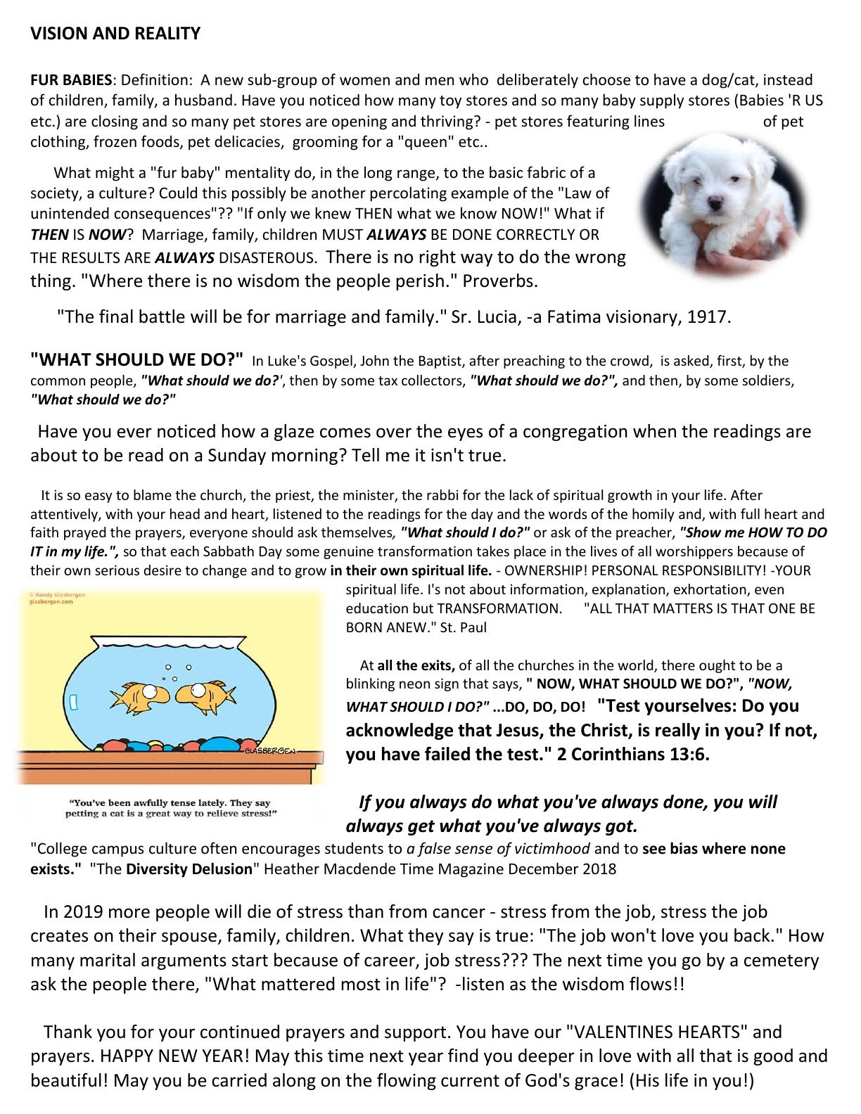 January 2019 — page 3